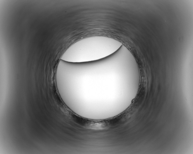 X0000086230610200703290945