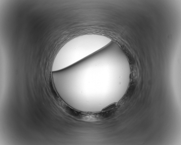 X0000086230611200703290945