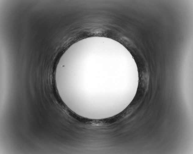 X0000086230612200703290945