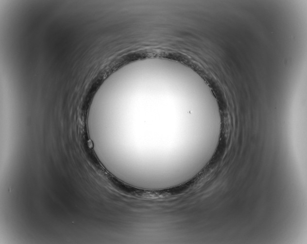 X0000086230613200703290945