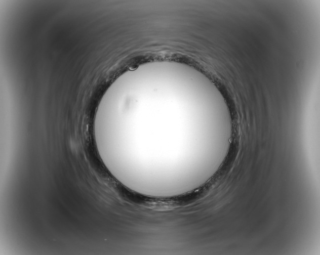 X0000086230615200703290945