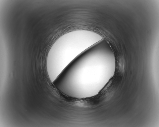 X0000086230616200703290945