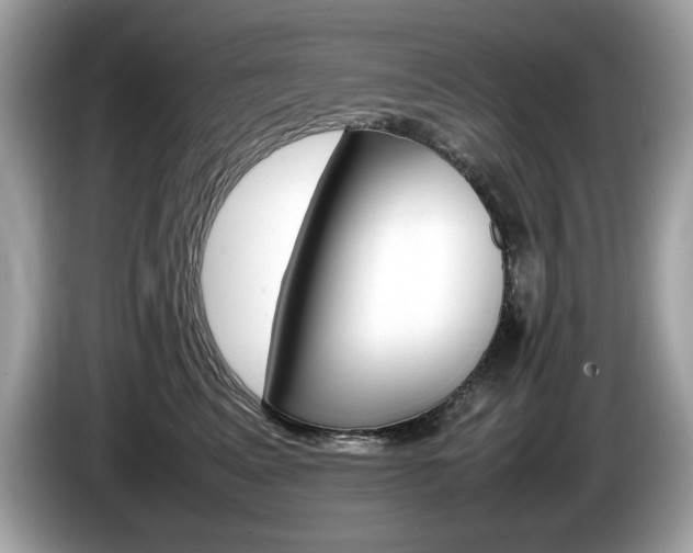 X0000086230617200703290945
