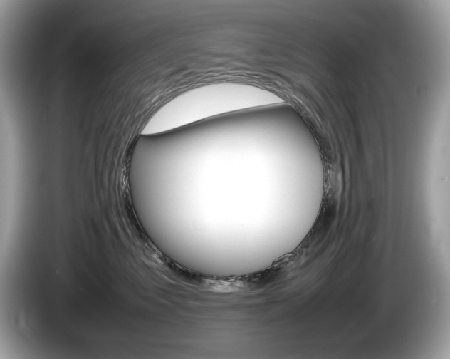 X0000086230621200703290945