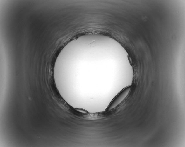 X0000086230623200703290945