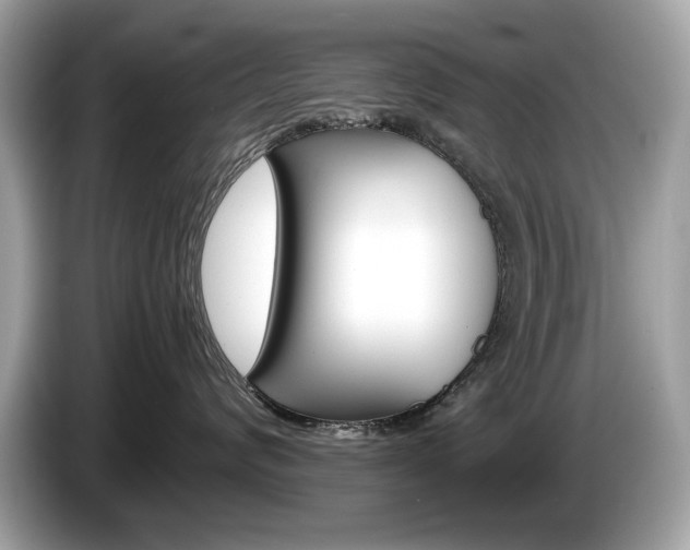 X0000086230624200703290945