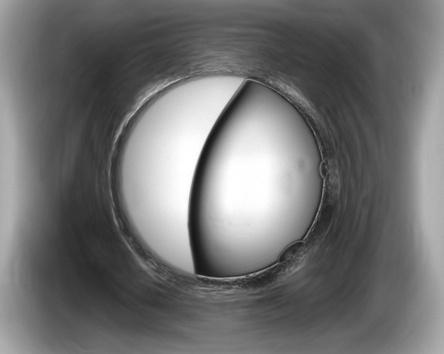 X0000086230626200703290944
