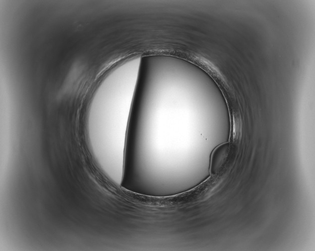 X0000086230627200703290944