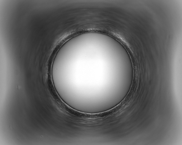 X0000086230631200703290944