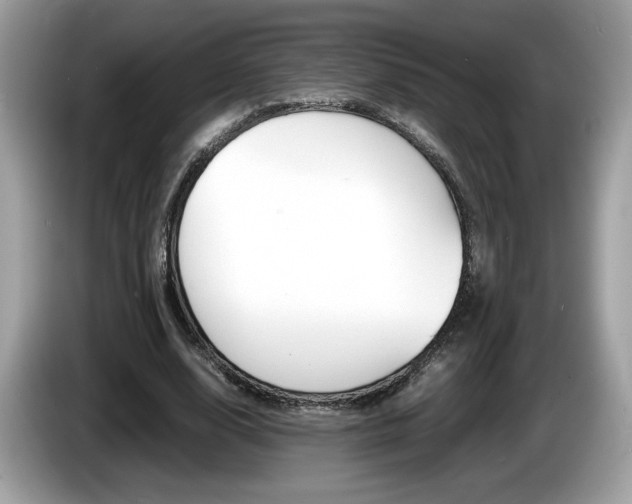 X0000086230632200703290944