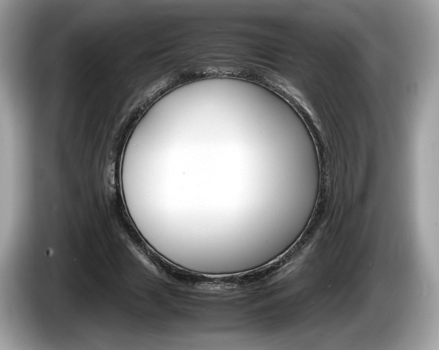 X0000086230633200703290944