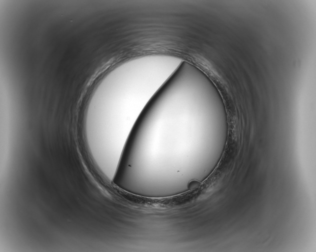 X0000086230634200703290944