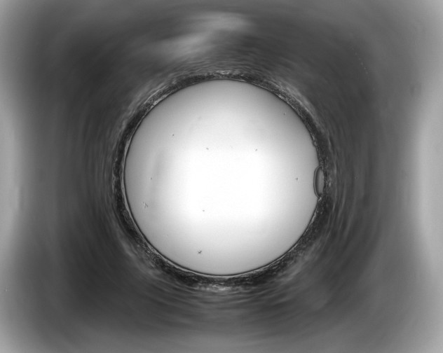 X0000086230635200703290944