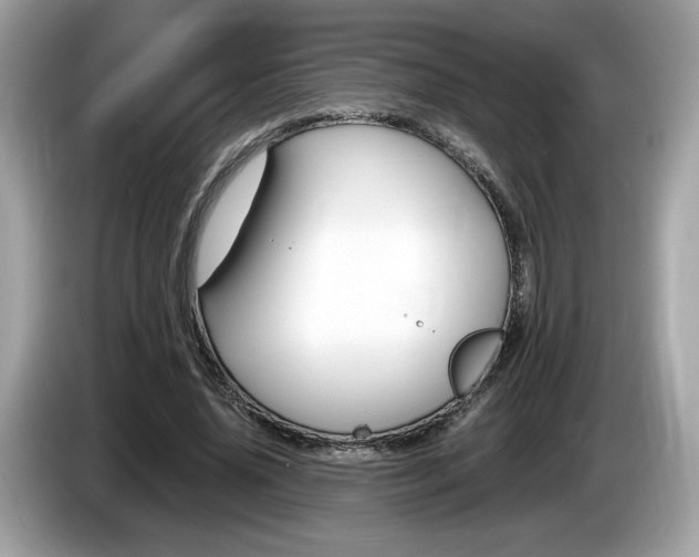 X0000086230636200703290944