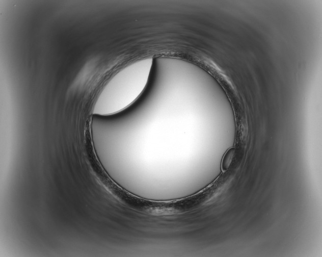 X0000086230637200703290944