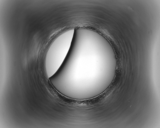 X0000086230640200703290944