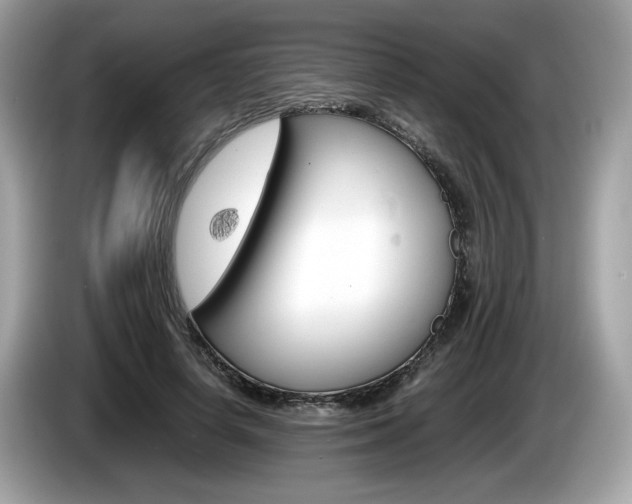 X0000086230642200703290944