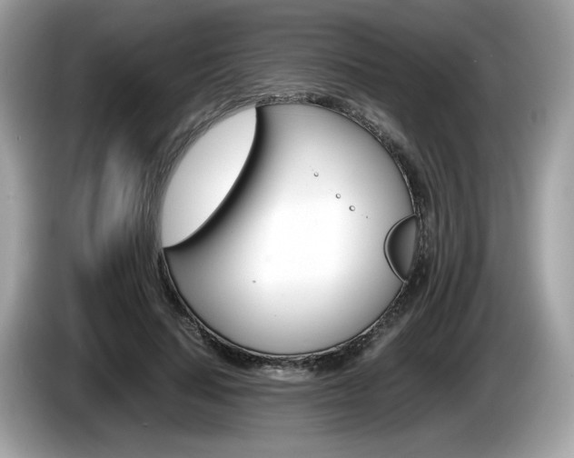 X0000086230644200703290944