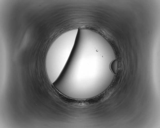 X0000086230646200703290944