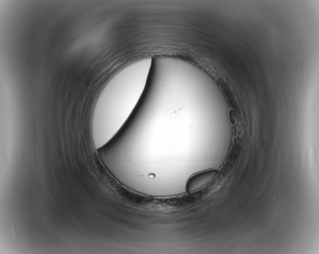 X0000086230648200703290944