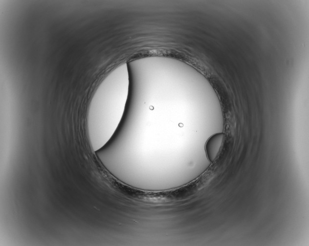 X0000086230650200703290944