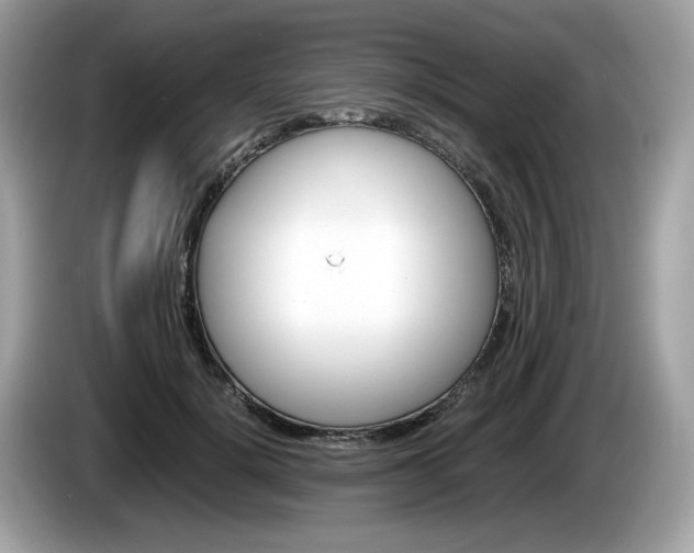 X0000086230652200703290944