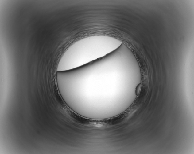 X0000086230654200703290944