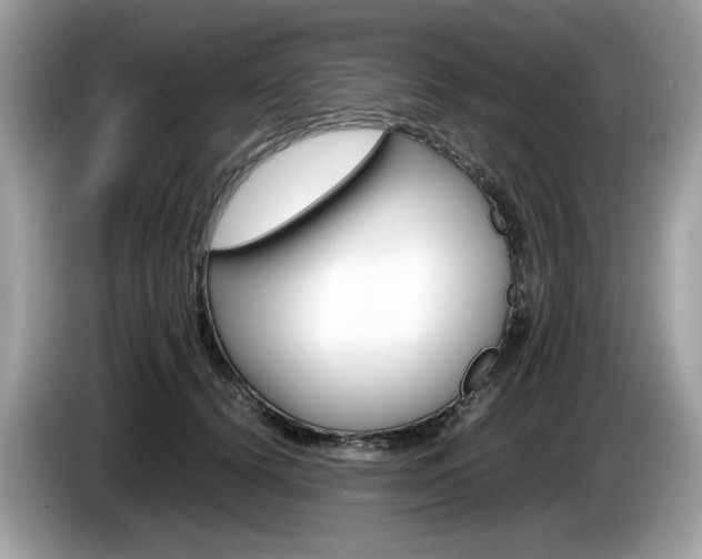 X0000086230656200703290945