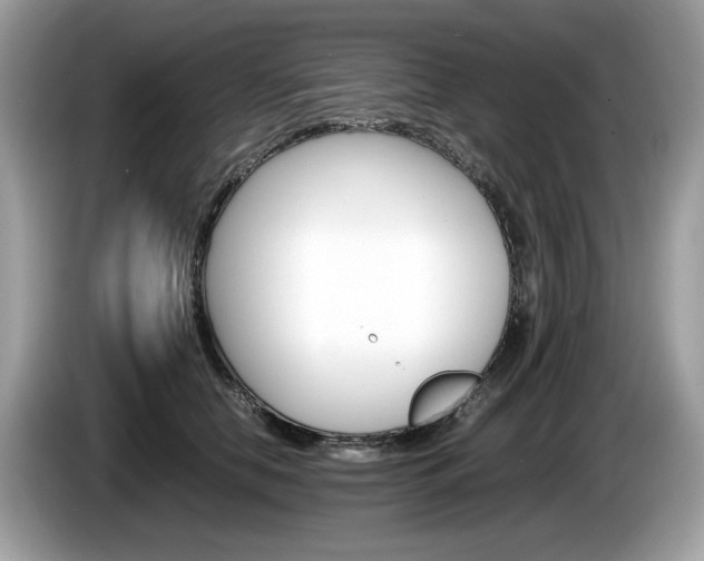 X0000086230658200703290945