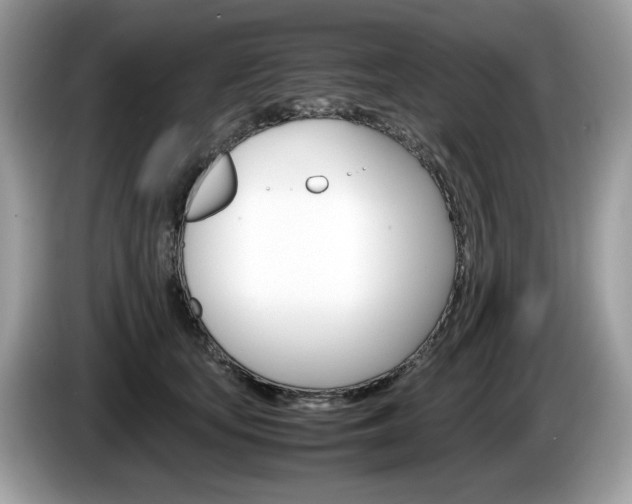 X0000086230659200703290945