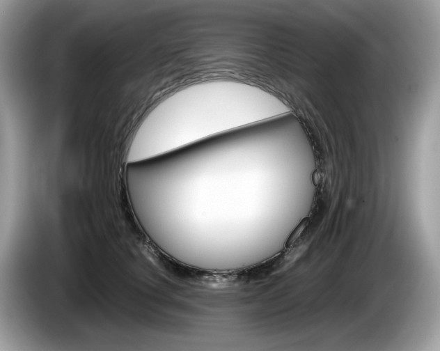 X0000086230660200703290945