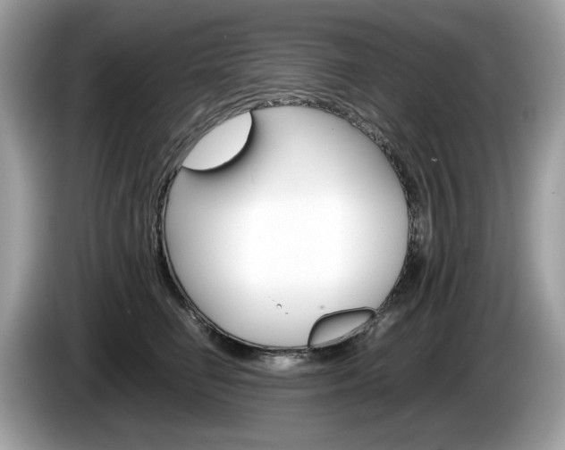 X0000086230662200703290945