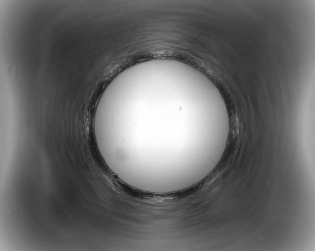X0000086230664200703290945