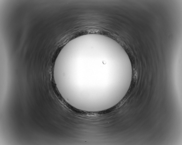 X0000086230666200703290945