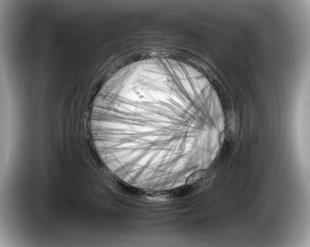X0000086230667200703290945