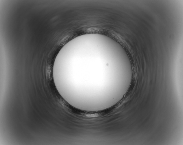 X0000086230669200703290945