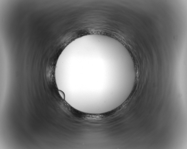 X0000086230671200703290945