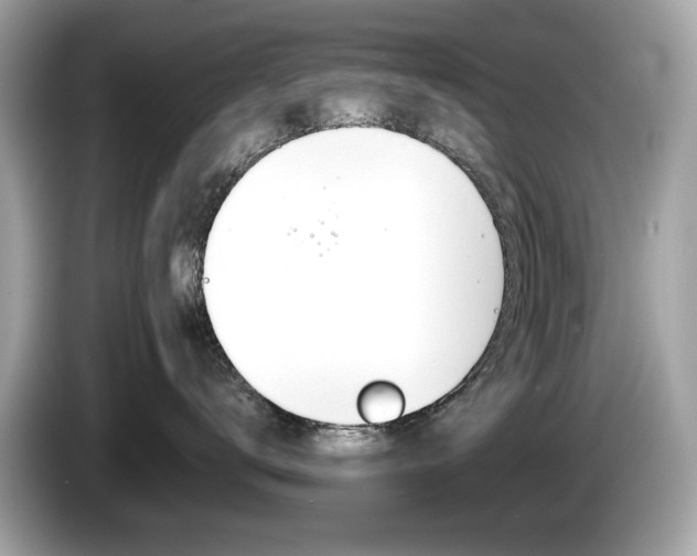 X0000086230672200703290945