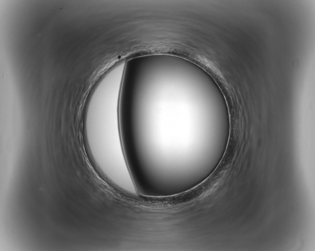 X0000086230673200703290944