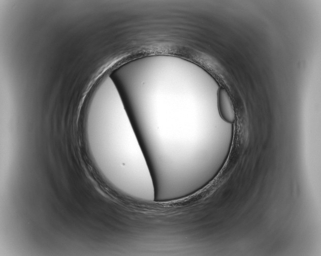 X0000086230674200703290944