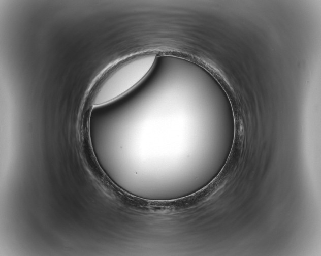 X0000086230676200703290944