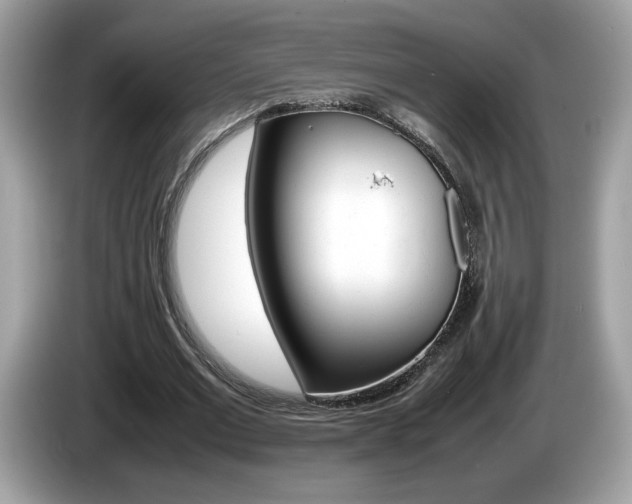X0000086230677200703290944