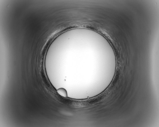 X0000086230679200703290944