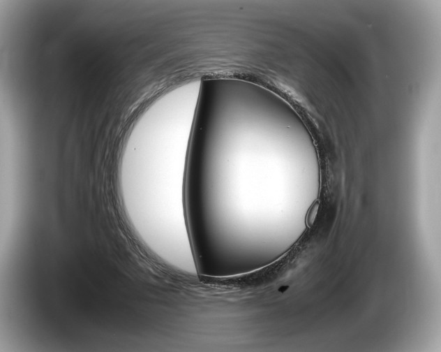 X0000086230681200703290944