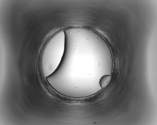 X0000086230682200703290944