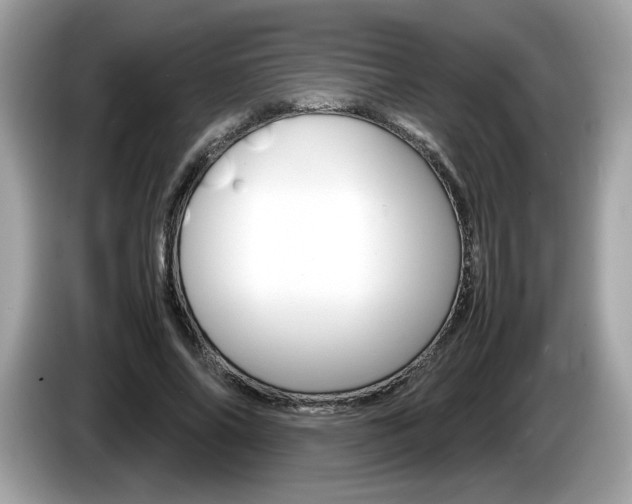 X0000086230686200703290944