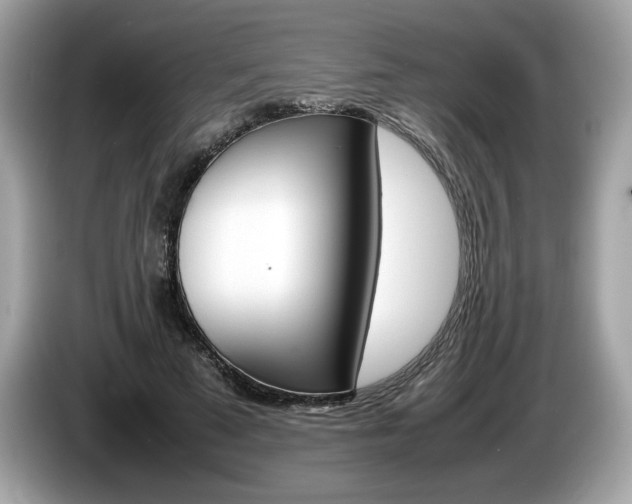 X0000086230689200703290944