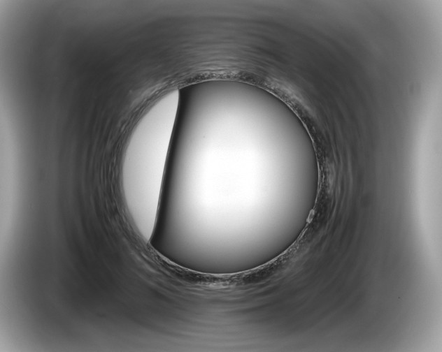 X0000086230692200703290944