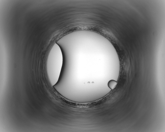 X0000086230694200703290944
