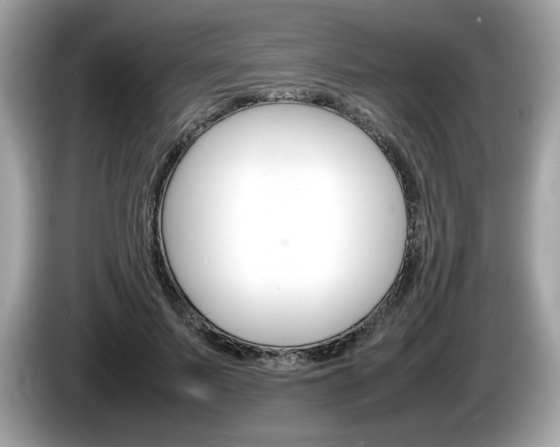 X0000086230695200703290944